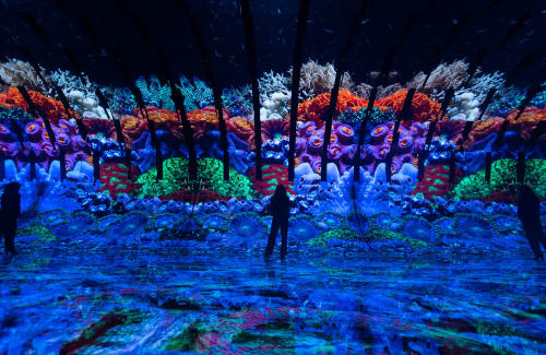 Silhoutette standing before large video display of coral