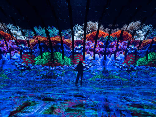 Silhouette of guest viewing large colored display of coral