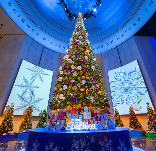 Grand Tree in the Museum Rotunda surrounded by smaller trees and large snowflake images
