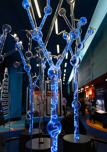 Display of branching glass tubes with electric blue lights inside