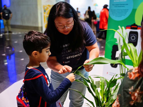 A volunteer and a child examine the leaves of a large plant during an event set in the Museum rotunda.
