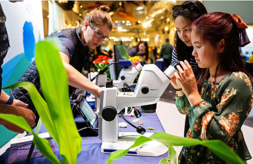 A young girl looks into a microscope at an activity table set up in the Museum's rotunda. 