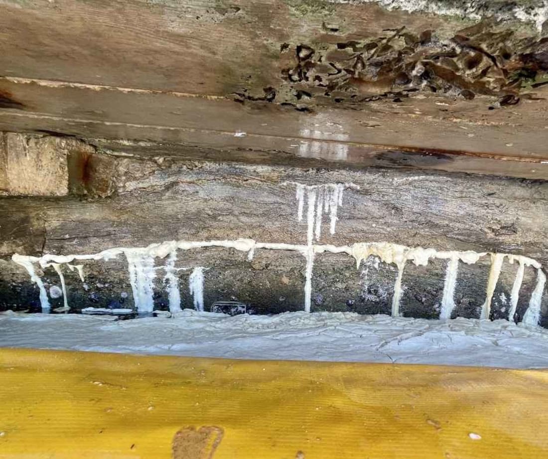 image of single component polyurethane NCFI-120 sealing seawall