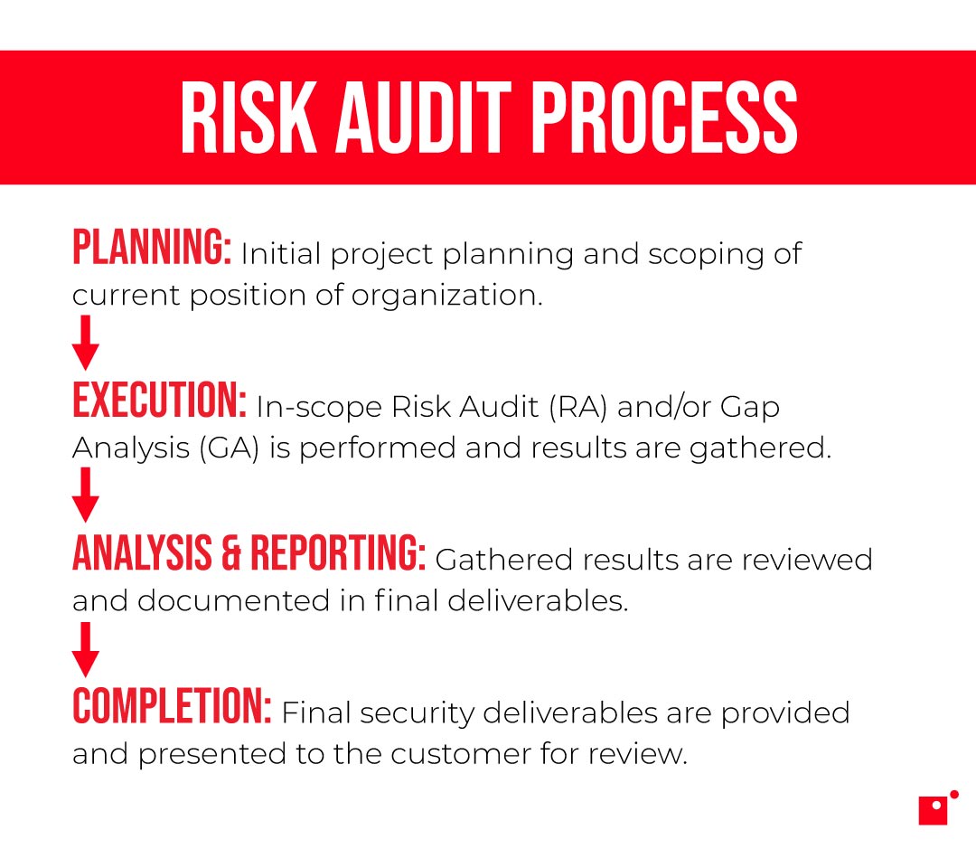 risk audit process