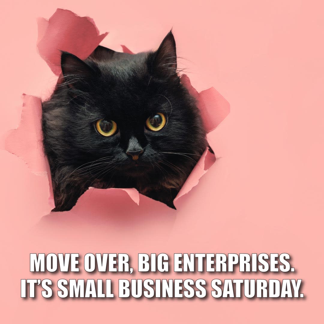 cat popping out of a pink background with text "Move over, big enterprisess. It's small business saturday."