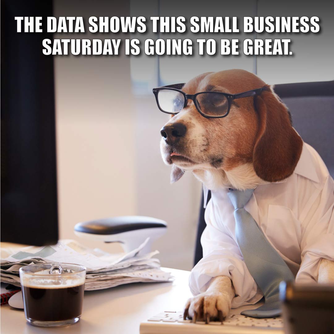 dog with glasses at a computer with text "The data show this small business saturday is going to be great."