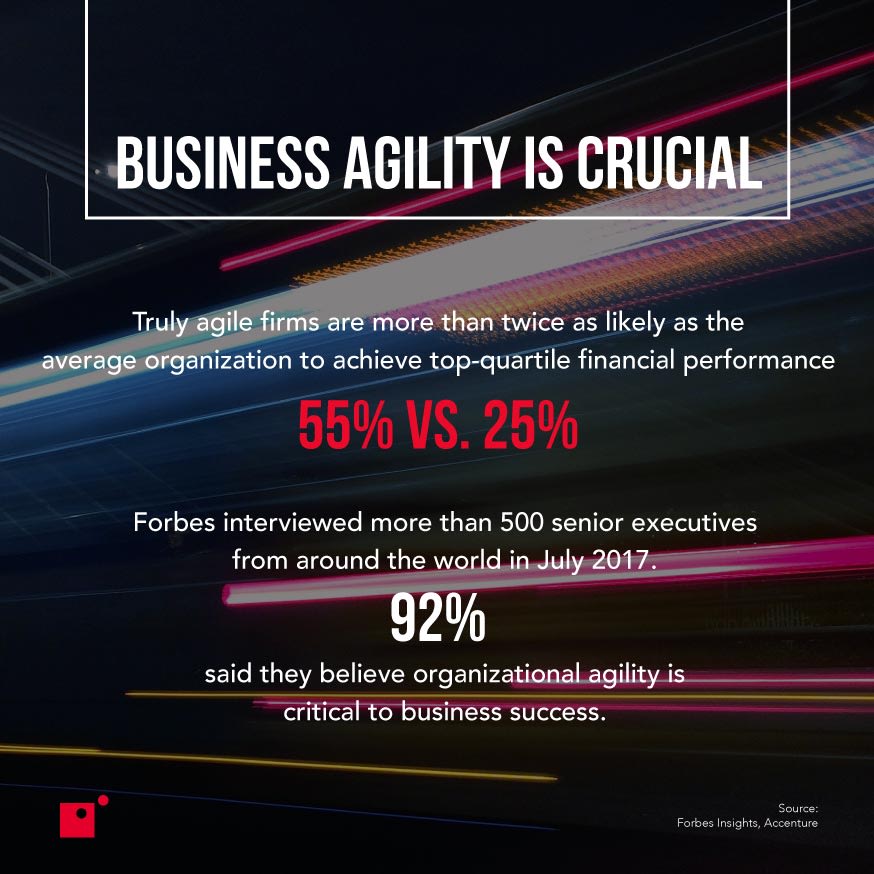 Statistics on success from business agility examples