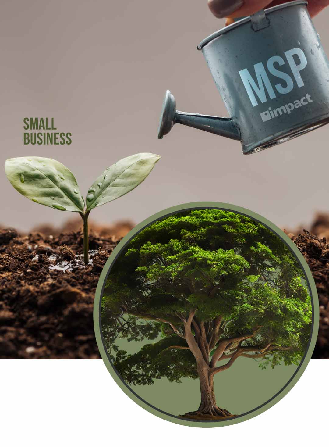 A watering can labeled "MSP" watering a sprout labeled "small business" with a tree in a circle on the bottom right.