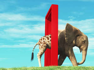 A giraffe walking through a door and becoming an elephant