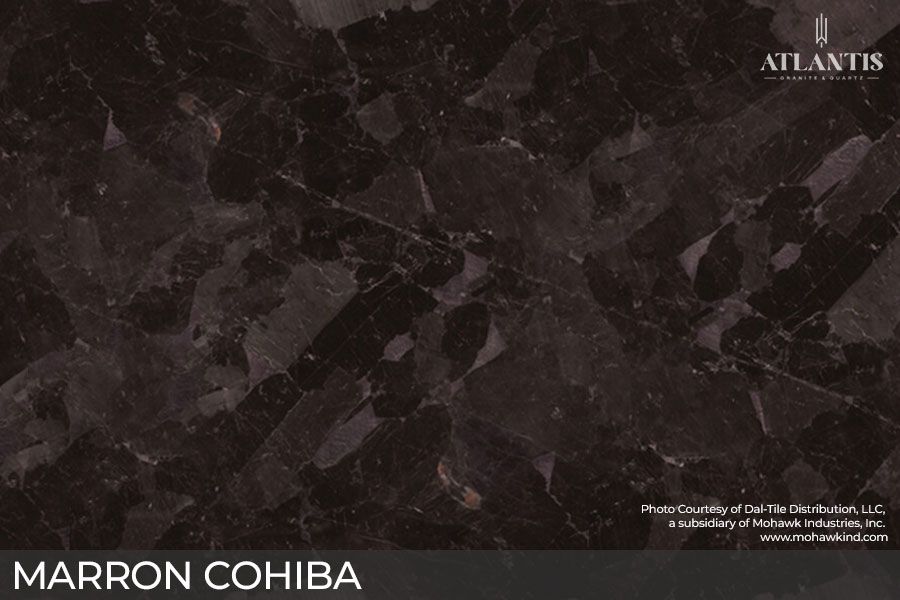 Daltile Granite Stone Slab marron cohiba