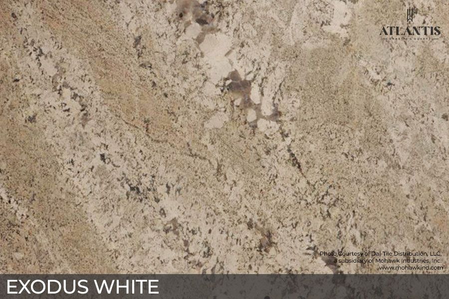 Daltile Granite Stone Slab exodus white