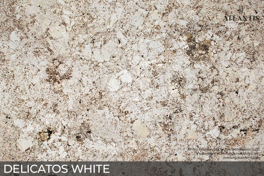 Daltile Granite Stone Slab delicatos white