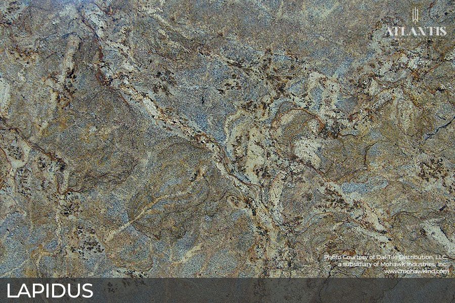 Daltile Granite Stone Slab lapidus