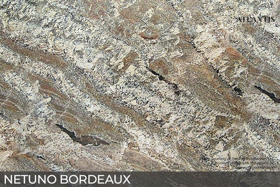 Daltile Granite Stone Slab netuno bordeaux