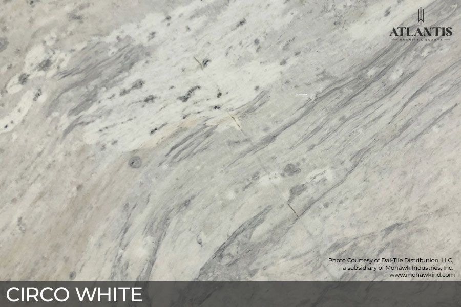 Daltile Marble Stone Slab circo white