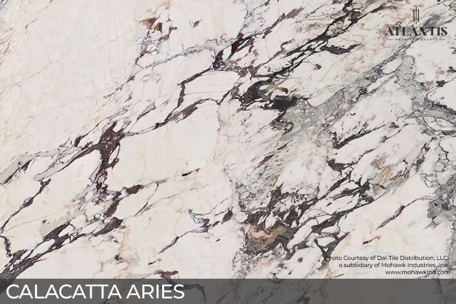 Daltile Porcelain Stone Slab calacatta aries