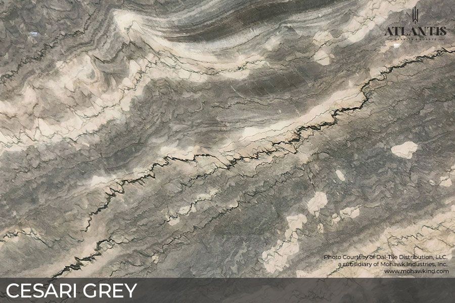 Daltile Quartzite Stone Slab cesari grey