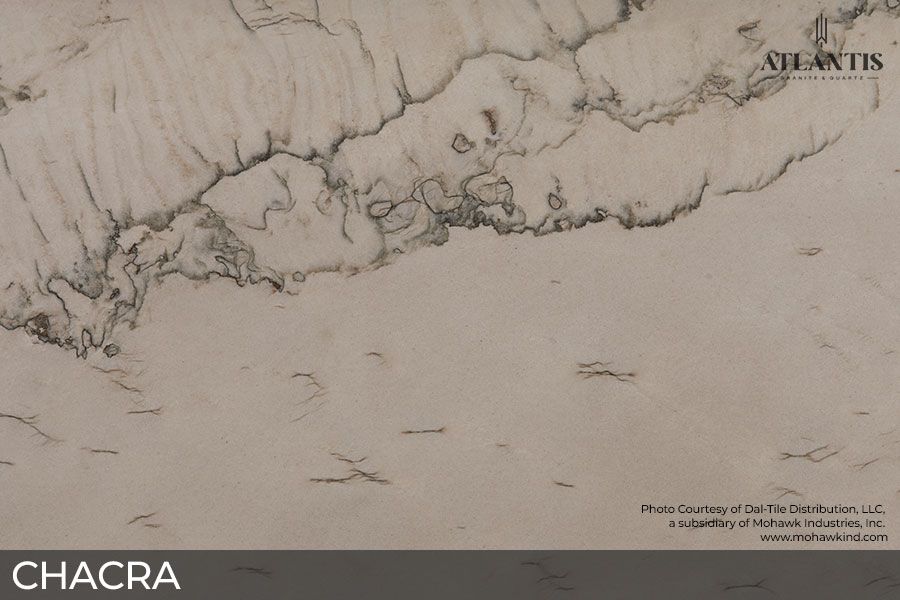 Daltile Quartzite Stone Slab chacra