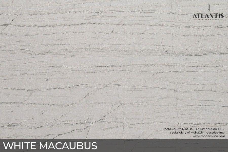 Daltile Quartzite Stone Slab white macaubus