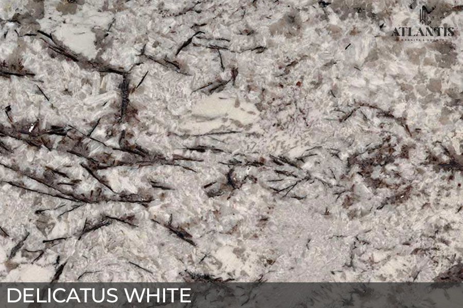 MSI Granite Stone Slab delicatus white