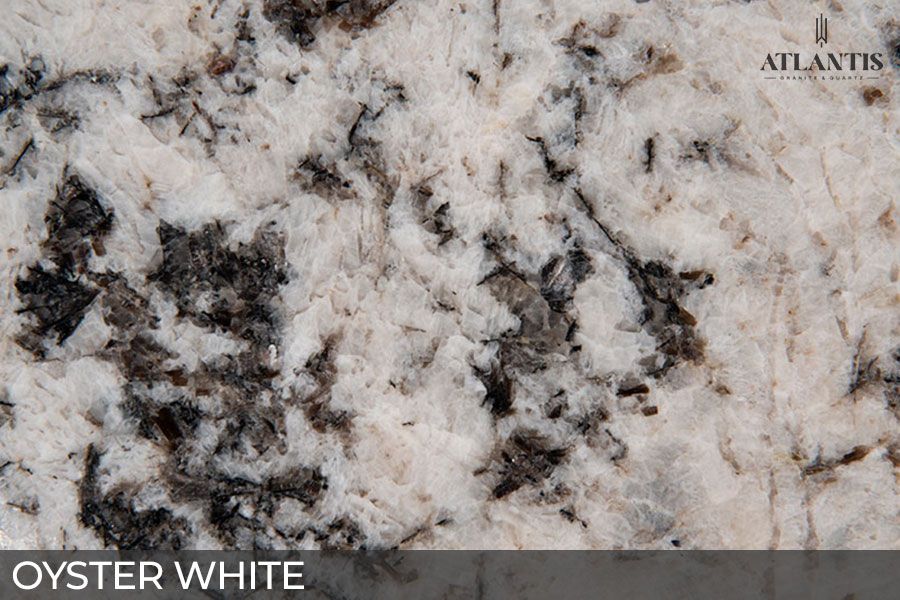 MSI Granite Stone Slab oyster white