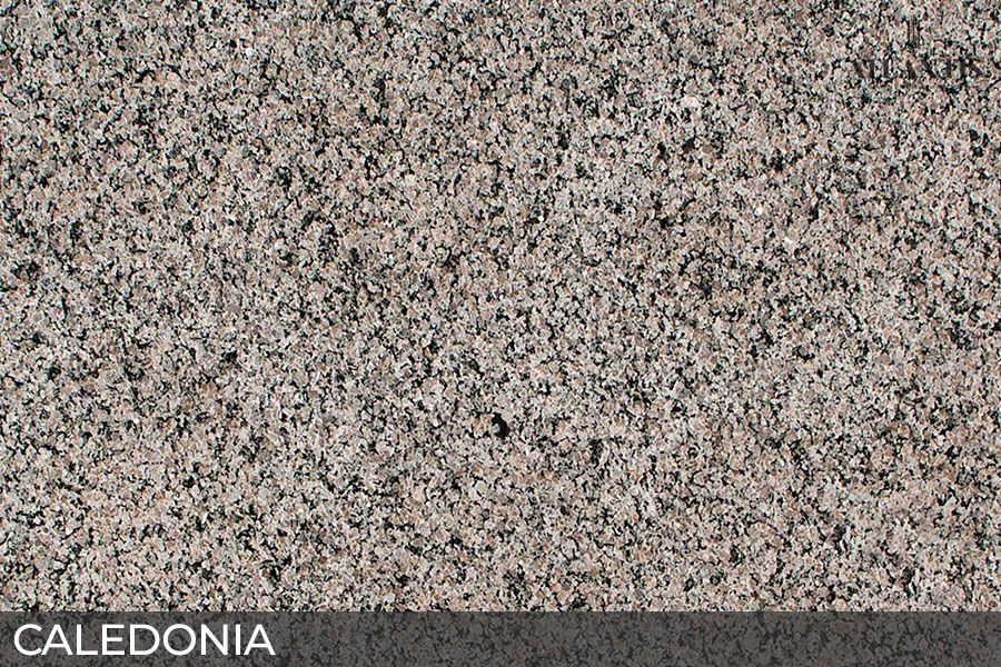 MSI Granite Stone Slab caledonia