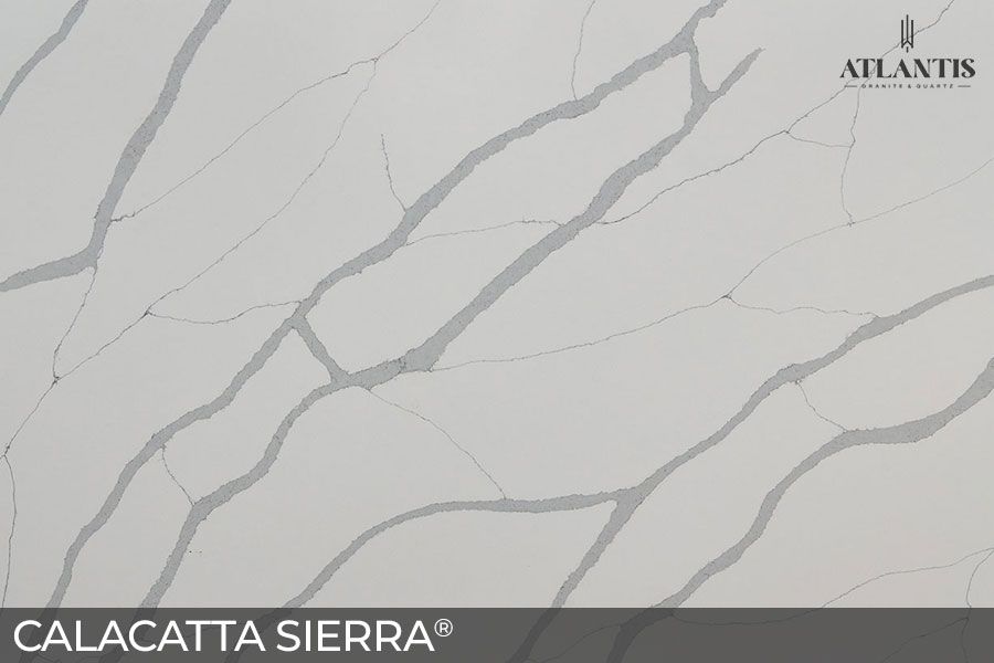 MSI Quartz Stone Slab calacatta sierra