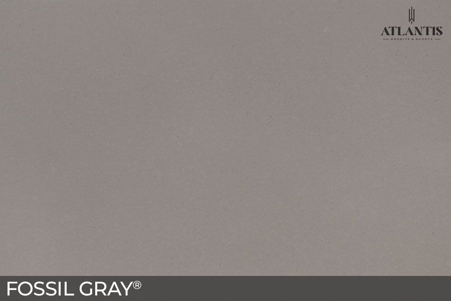 MSI Quartz Stone Slab fossil gray