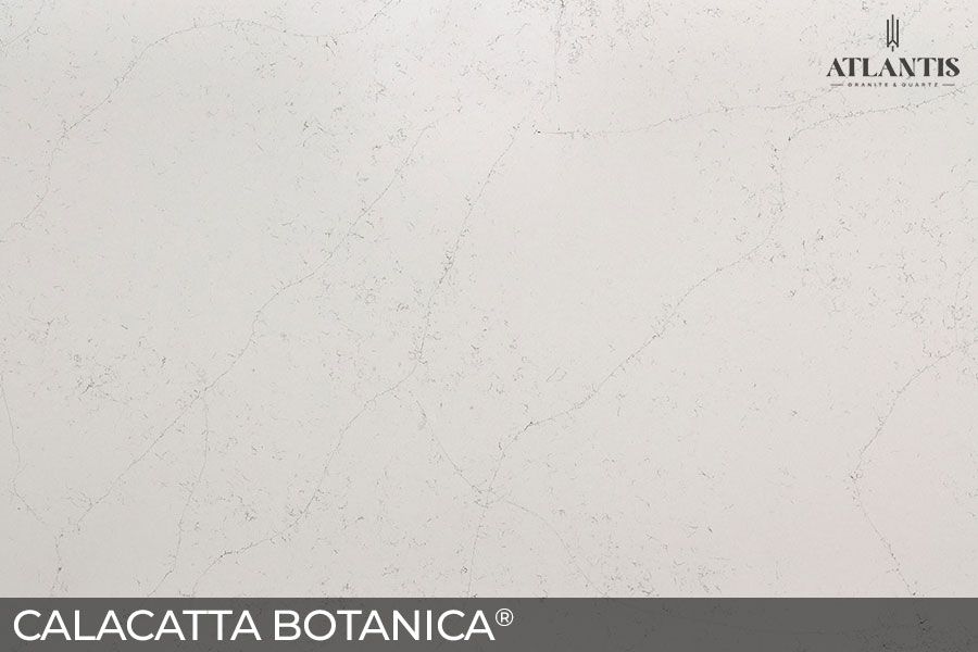 MSI Quartz Stone Slab calacatta botanica