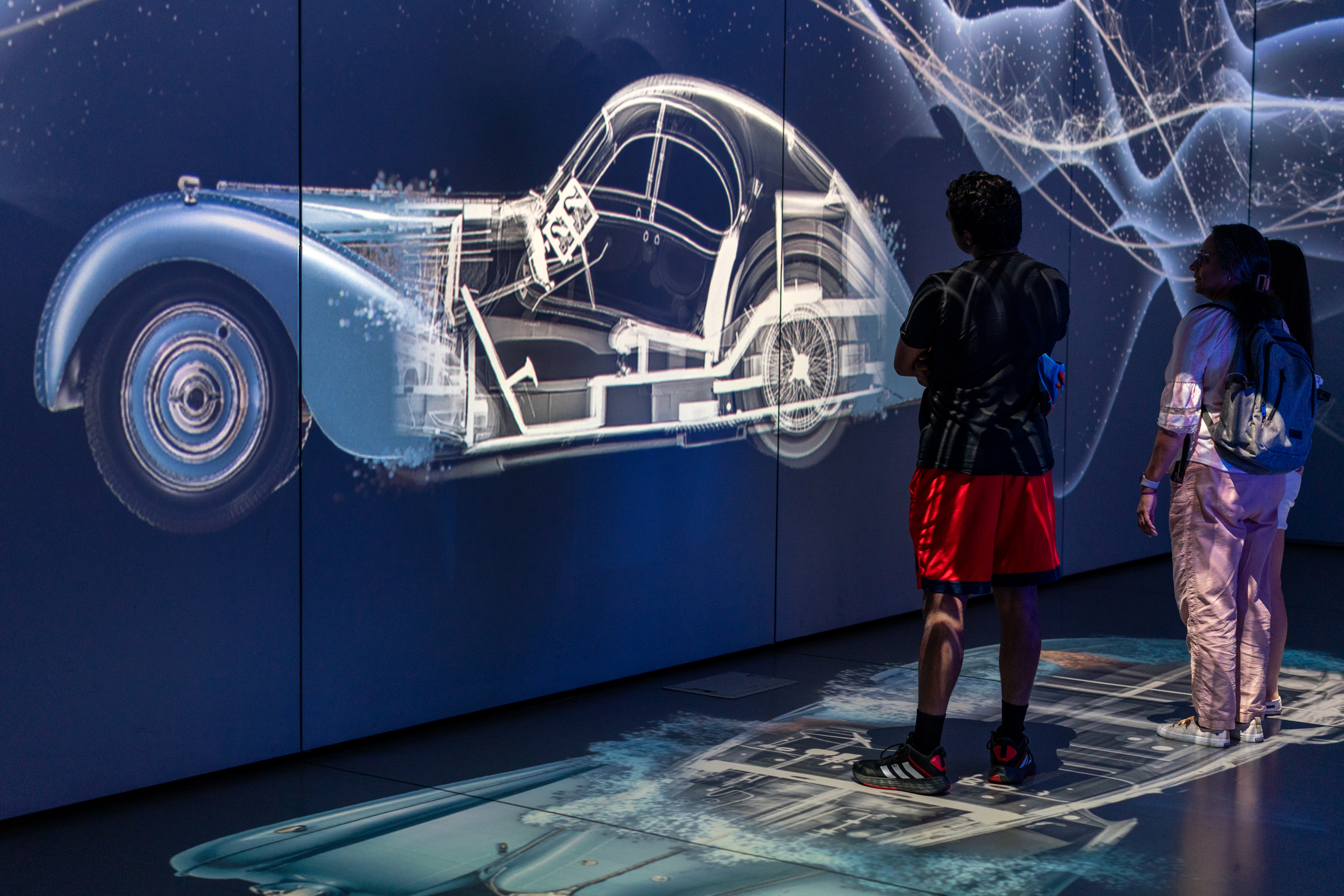 Beyond the Surface: The Art of X-rays